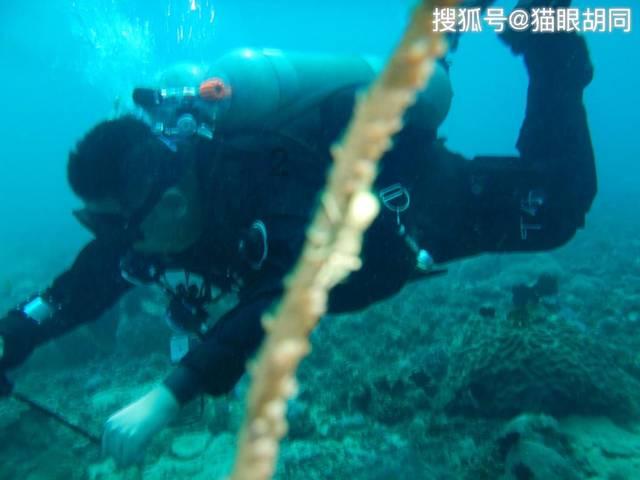 刘明才小小说选之二爱上解放军